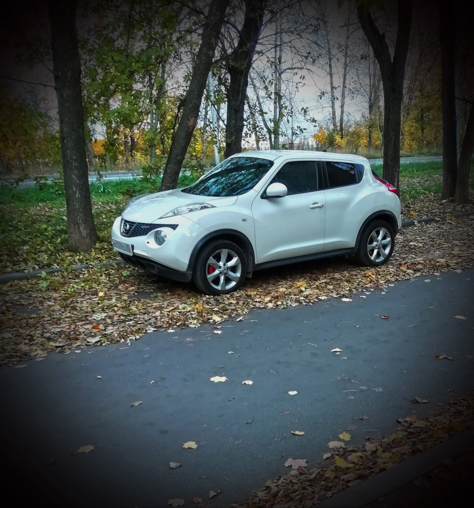 Жук 180… — Nissan Juke (1G), 1,6 л, 2011 года | электроника | DRIVE2