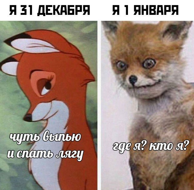 Я весь год я в декабре мем