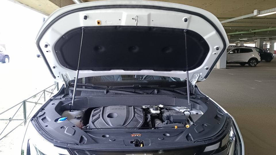 Любуемся результатом спереди — Geely Atlas (2G)