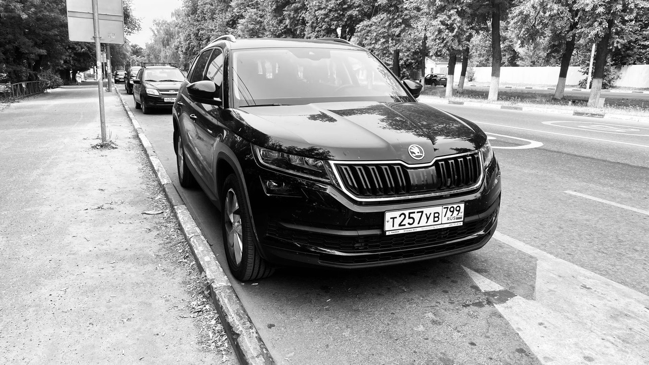 Skoda Kodiaq 2.0 дизельный 2019 | ☢Большая☢ на DRIVE2