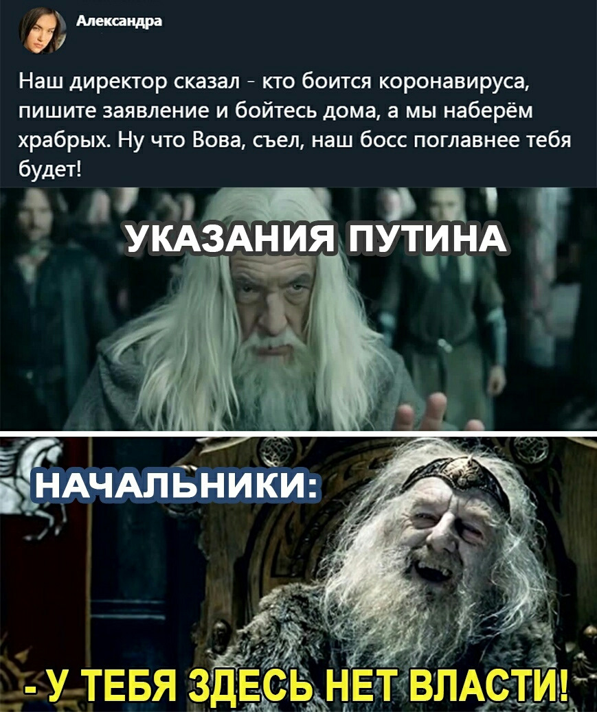 Расскажи вышло. Указы Путина у тебя здесь нет власти. Мемы про карантин. Цитата у тебя здесь нет власти. У тебя здесь нет власти демотиватор.