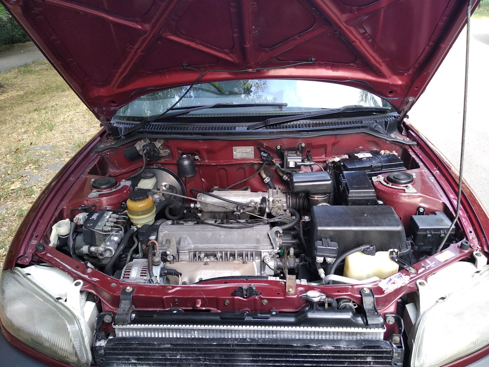 Регистратор от плафона. — Great Wall Hover, 2,4 л, 2011 года ...