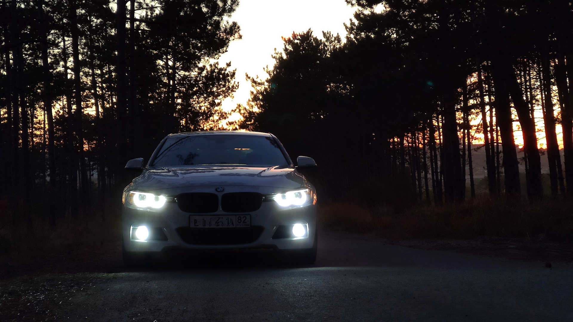 BMW 3 series (F30) 2.0 дизельный 2013 | #аквариум на DRIVE2