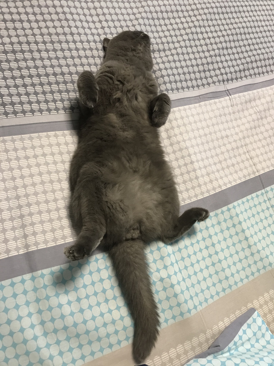 После проведённых работ — отдыхаю. — BMW 3 series (E46)