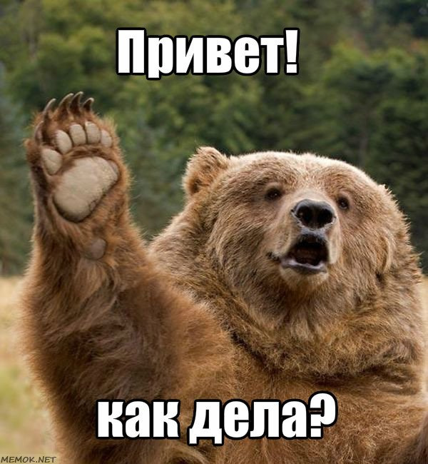 День, картинки с надписями как дела любимый