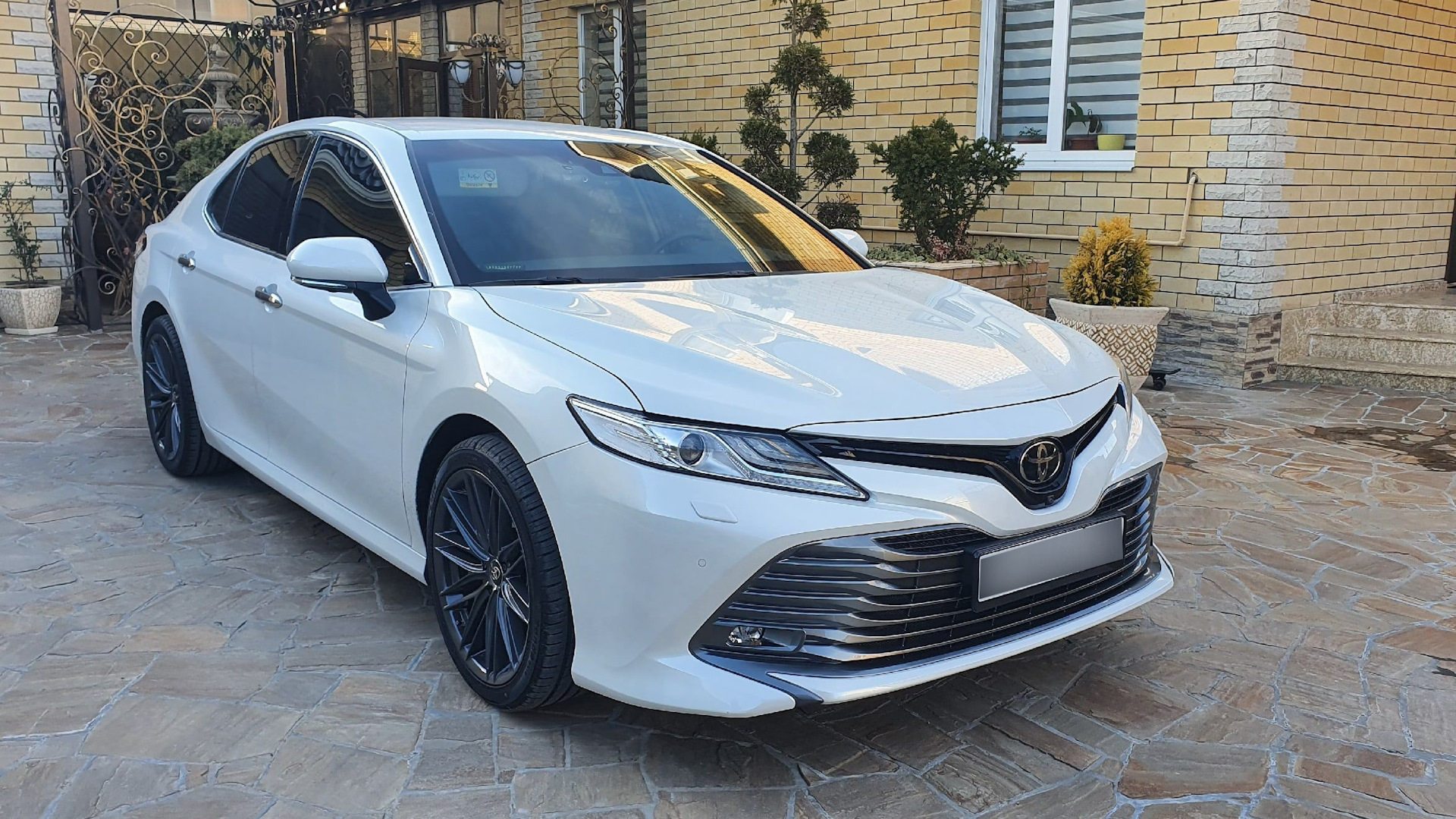 Toyota Camry (XV70) 3.5 бензиновый 2019 | Перламутровая болезнь на DRIVE2