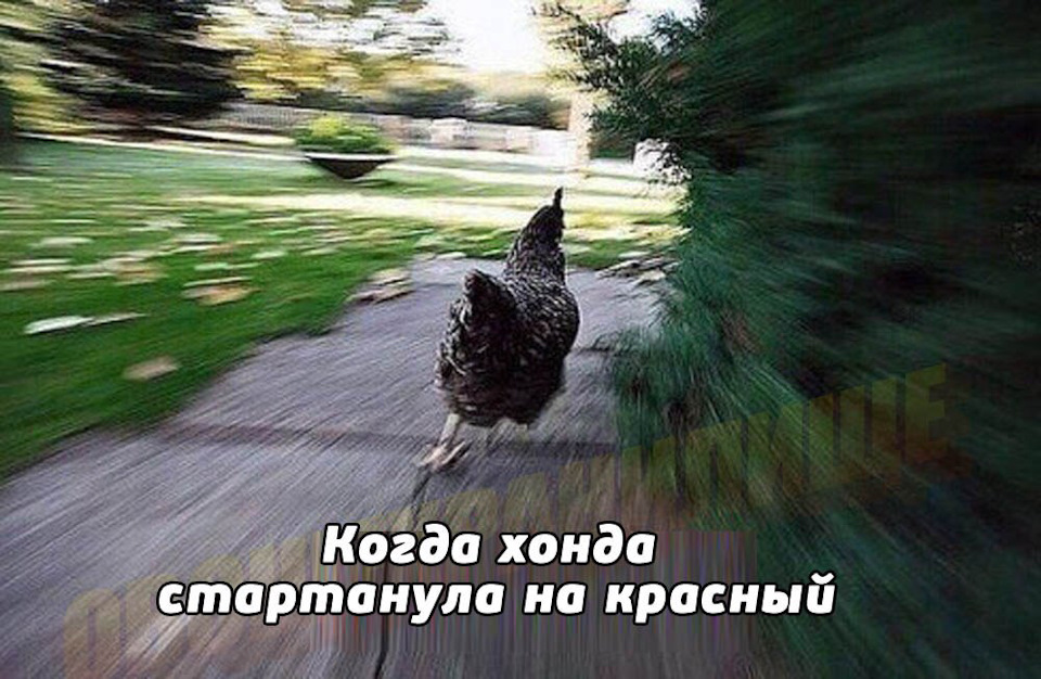 Мем про хонду #1 — DRIVE2