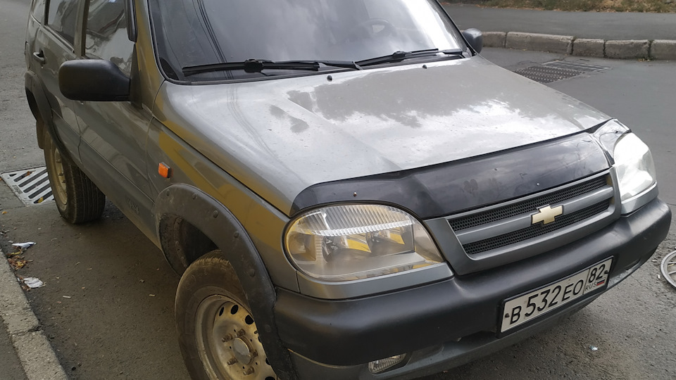 Кто использует какую программу для диагностики? Торк, оливия, опен диаг ...