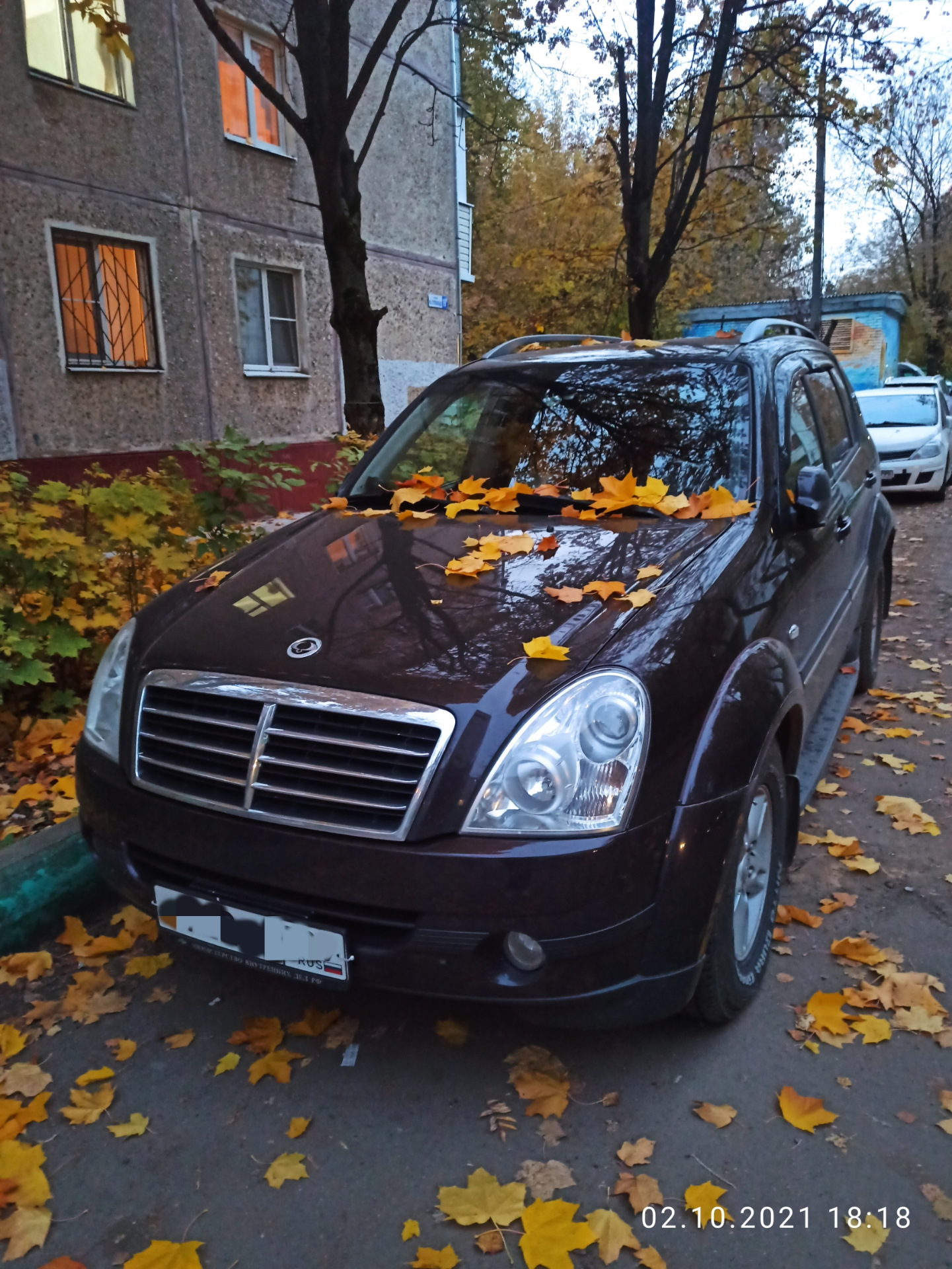 Нужен совет что может быть? — SsangYong Rexton (2G), 2,7 л, 2011 года |  поломка | DRIVE2