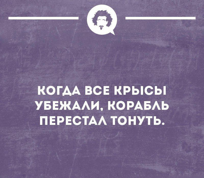 Когда все крысы убежали корабль перестал тонуть картинки