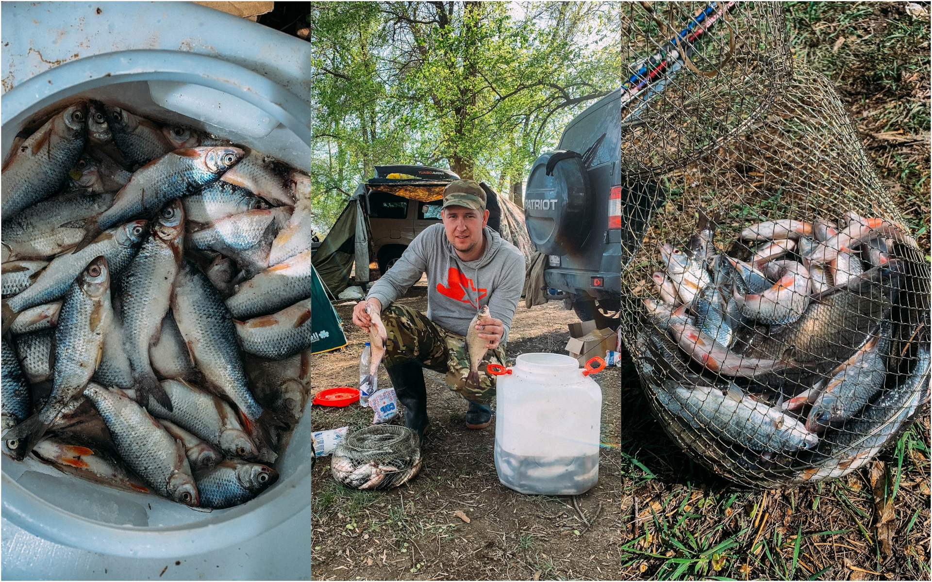 Как ловят рыбу на днепре. Шпаргалка начинающего рыбака. Платная рыбалка. Фотографии рыбалки. Можно щас ловить рыбу.