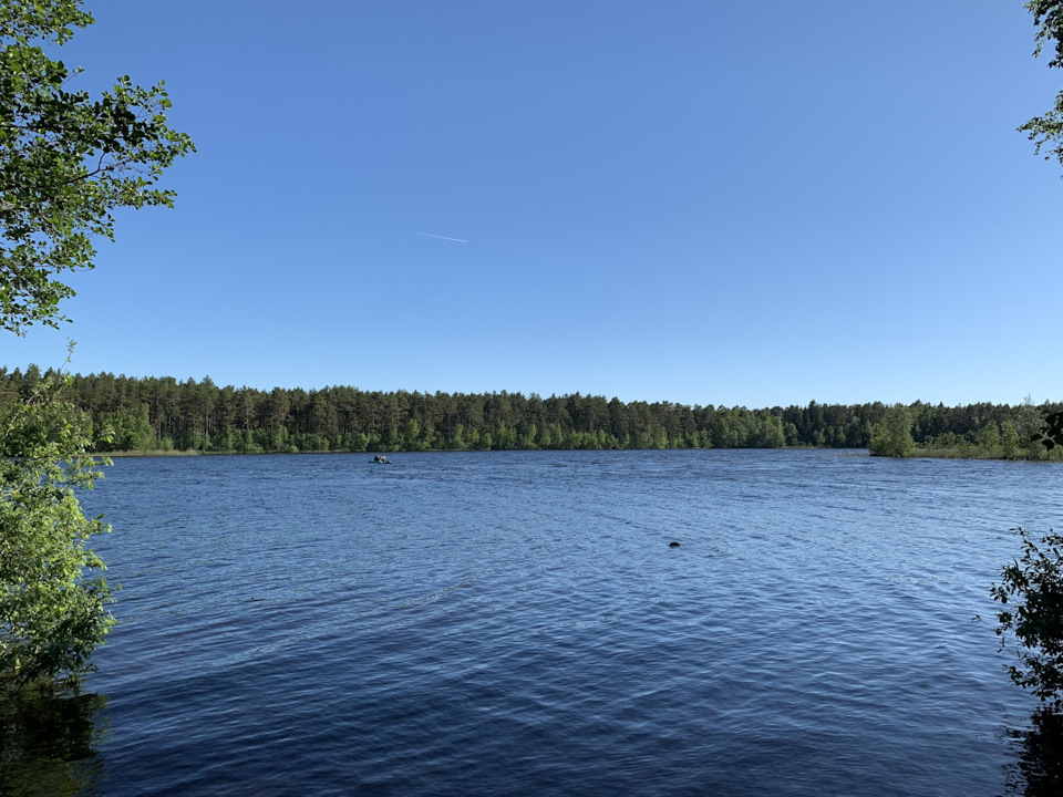 В лес — на Туареге? Да легко😊 — Volkswagen Touareg (2G), 3,6 л, 2012 ...