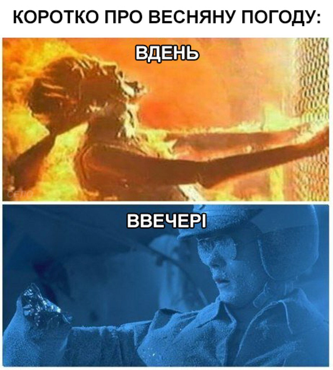 Коротко о погоде картинки смешные