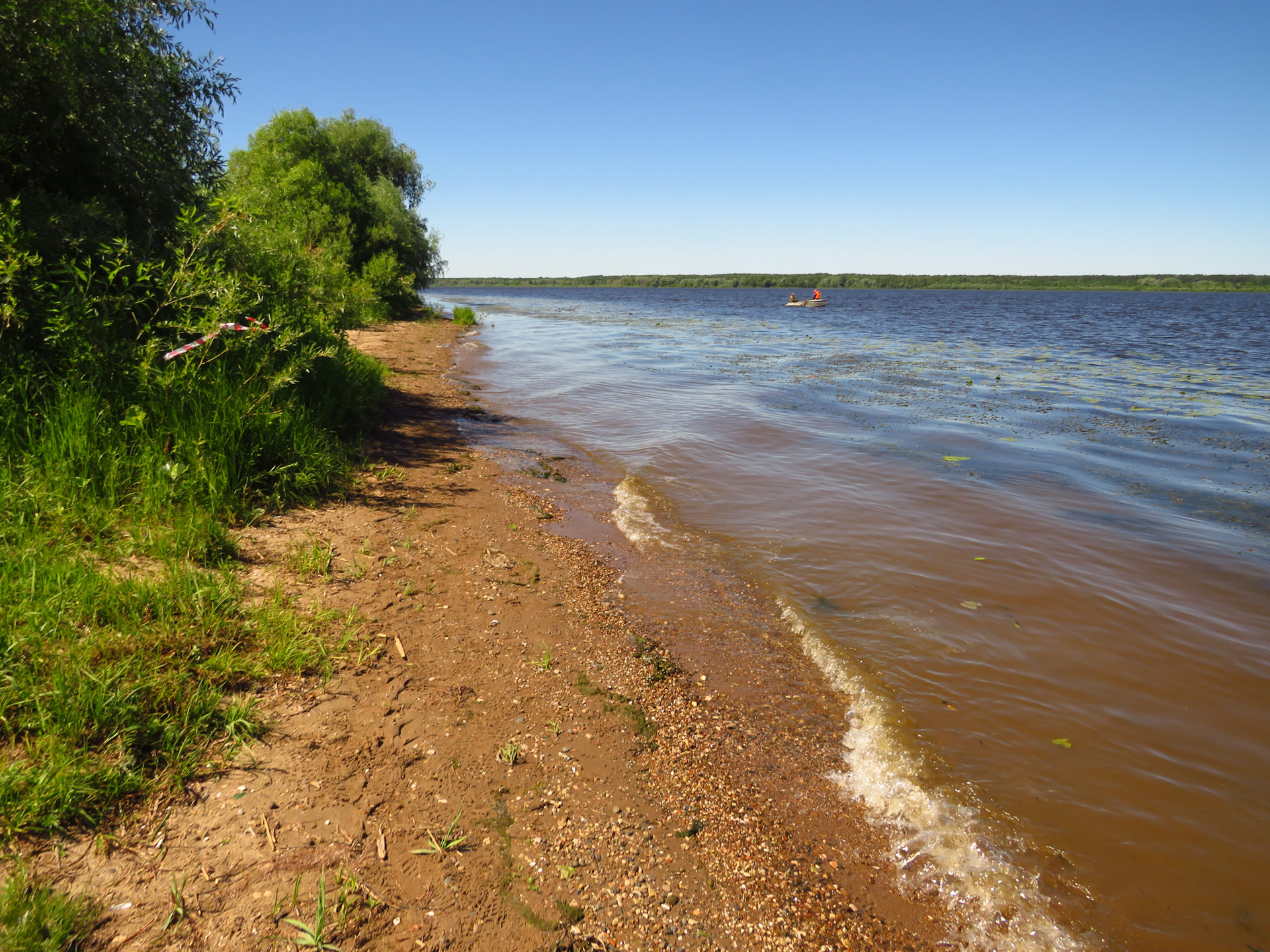 Керженский заповедник Нижегородской области