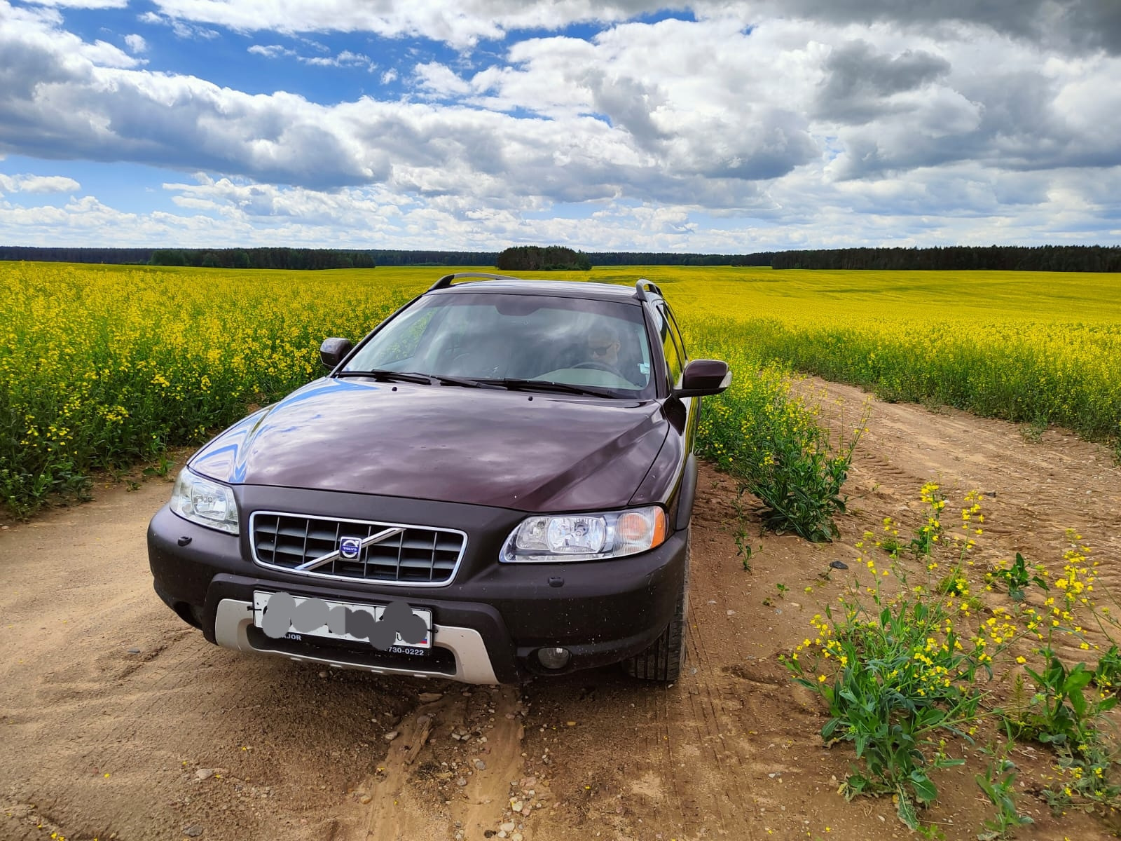 Volvo xc70 II на России в лесу