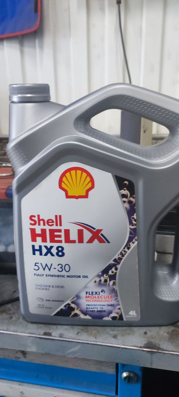 Залить shell