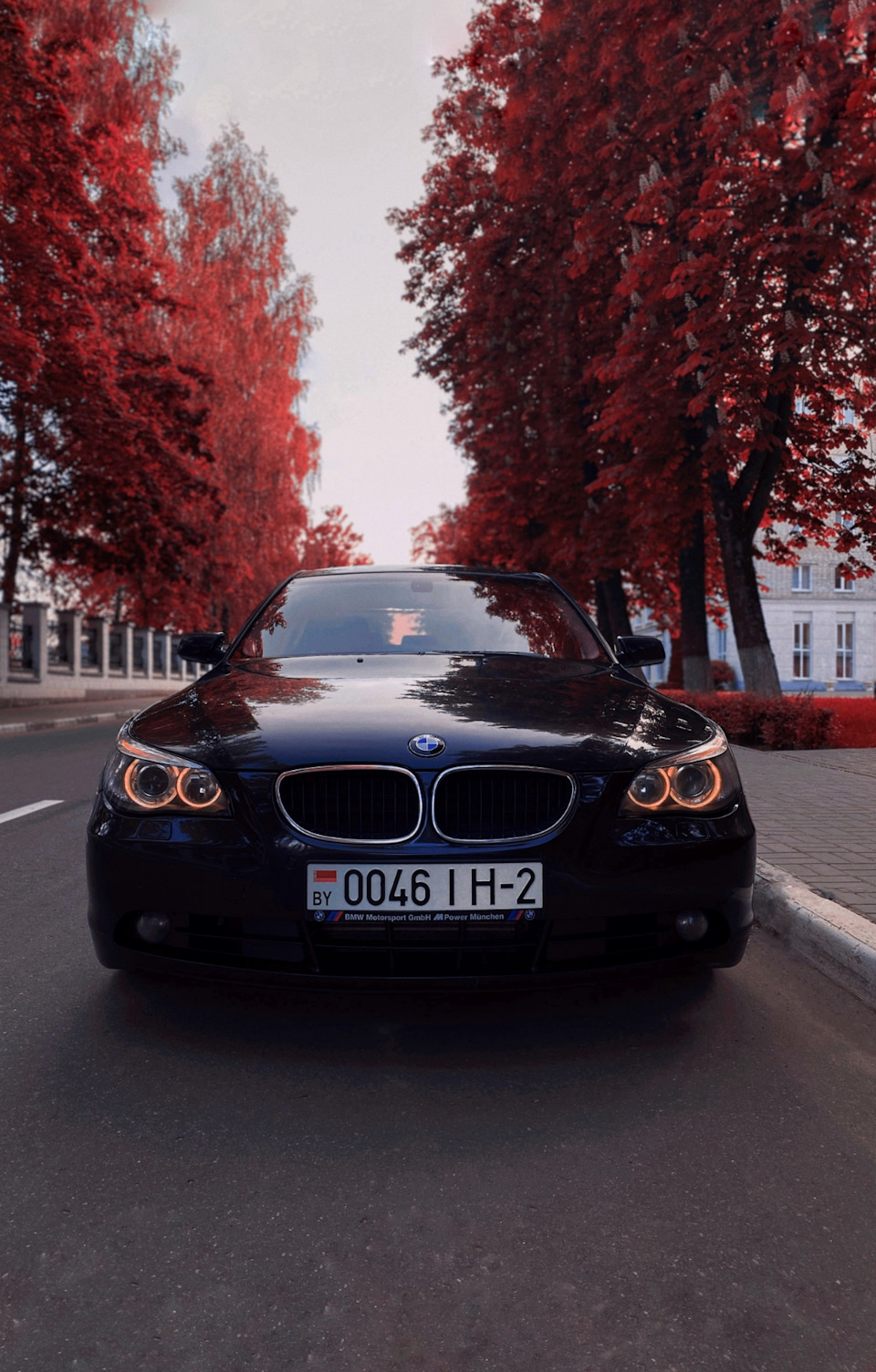 Фото в бортжурнале BMW 5 series (E60)