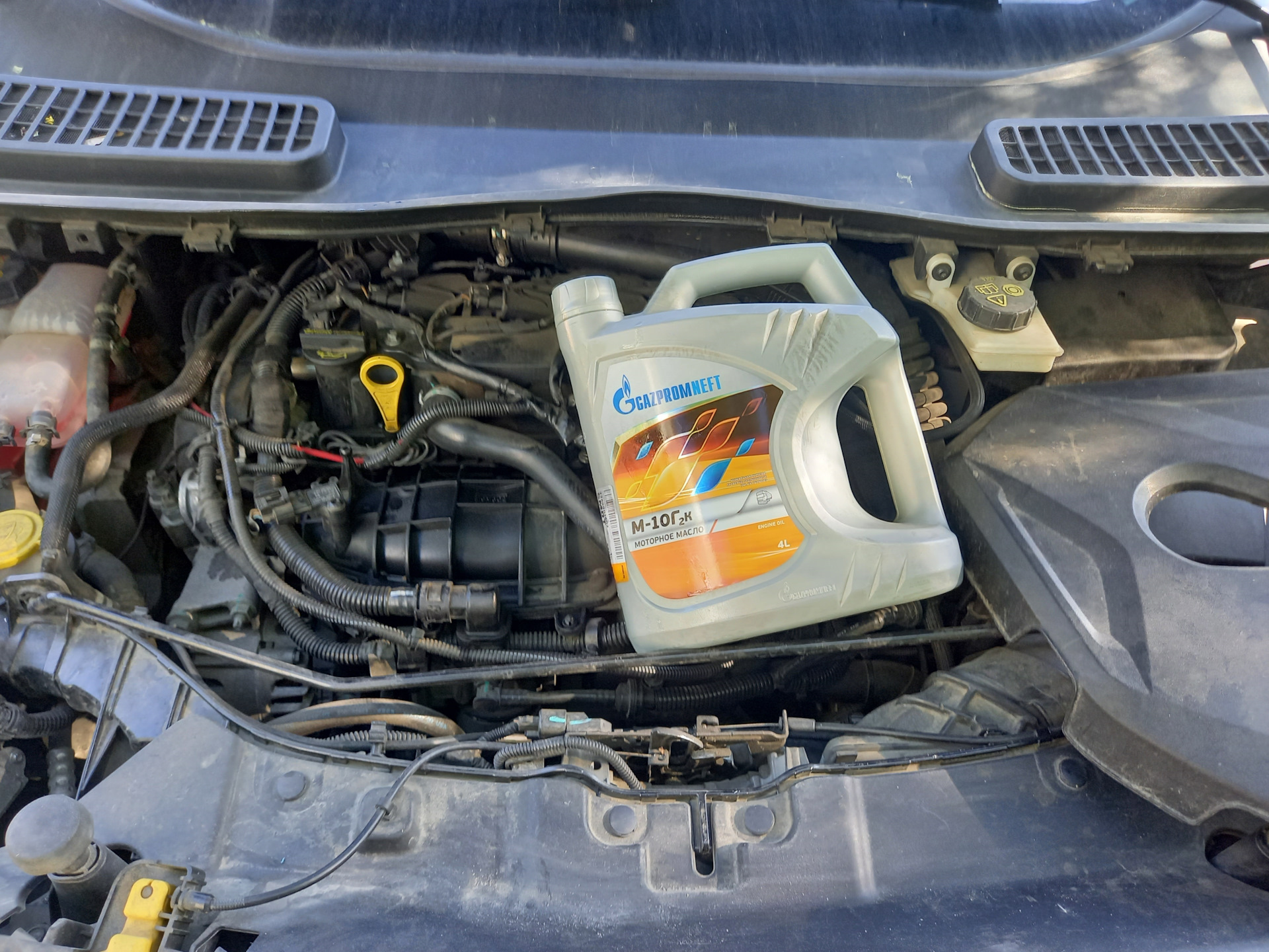 Летнее масло в EcoBoost 1,6 117182 — Ford Kuga (2G), 1,6 л, 2014 года ...