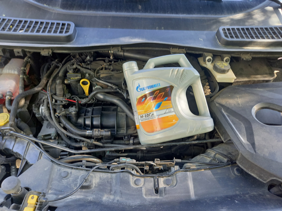 Летнее масло в EcoBoost 1,6 117182 — Ford Kuga (2G), 1,6 л, 2014 года ...