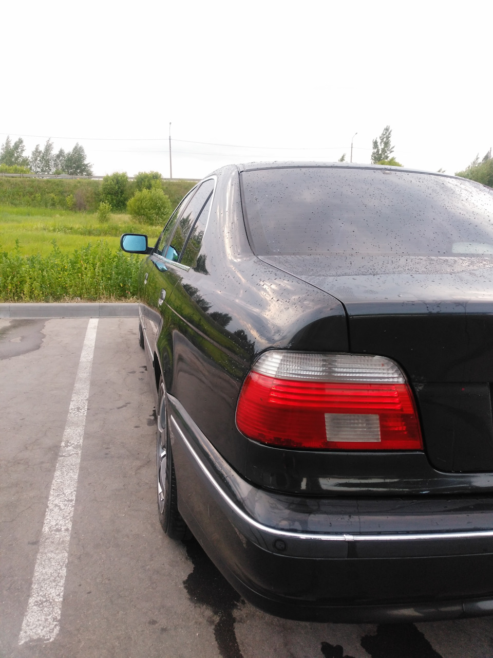 Фото в бортжурнале BMW 5 series (E39)