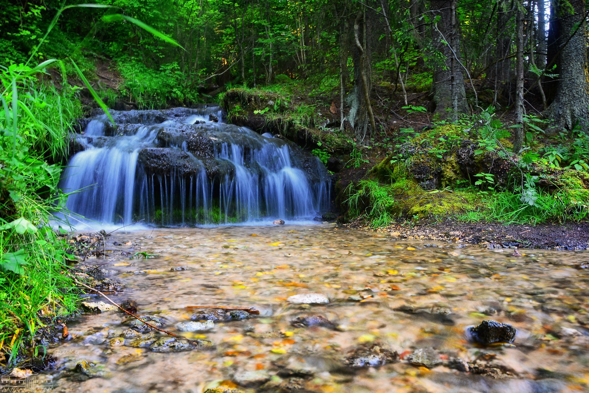 Калужская природа фото Калужская область. Места, которые стоит увидеть. Природные объекты - DRIVE2