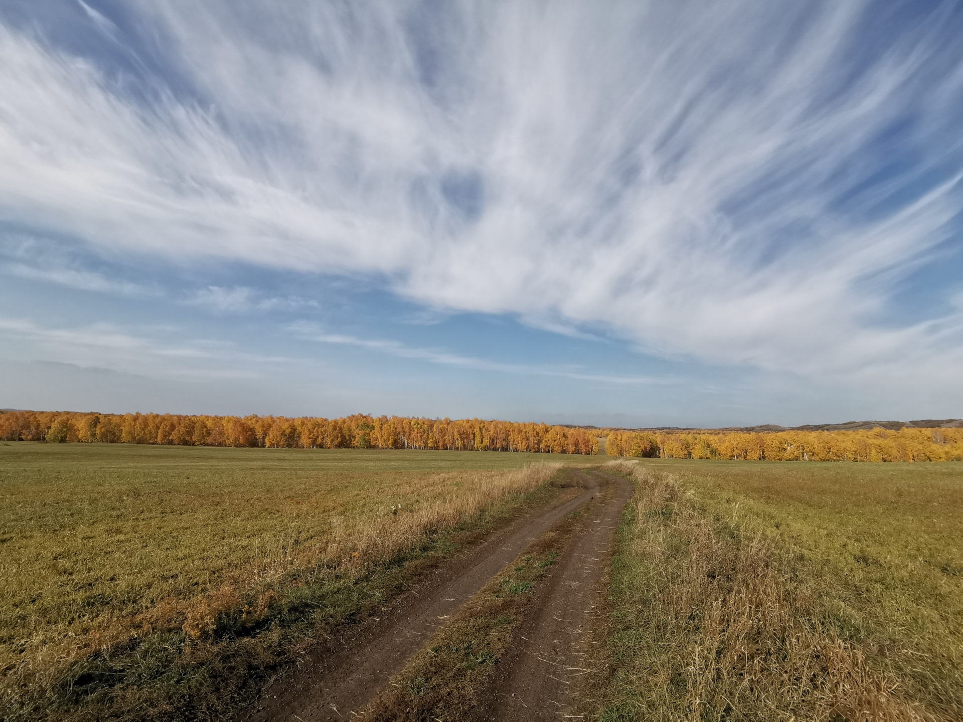 Тюльганский сельсовет