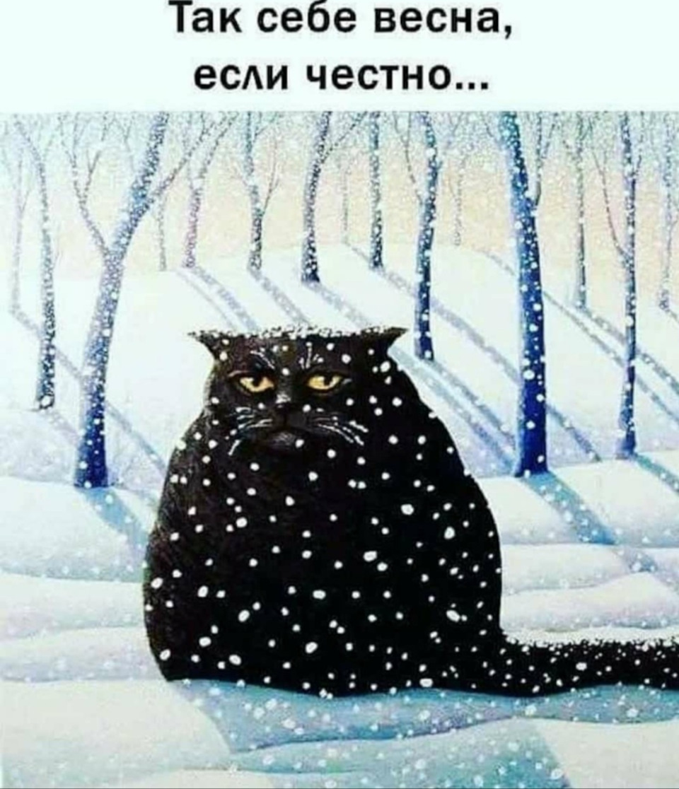 Как правильно прогревать гибридную машину. Смотреть фото Как правильно прогревать гибридную машину. Смотреть картинку Как правильно прогревать гибридную машину. Картинка про Как правильно прогревать гибридную машину. Фото Как правильно прогревать гибридную машину