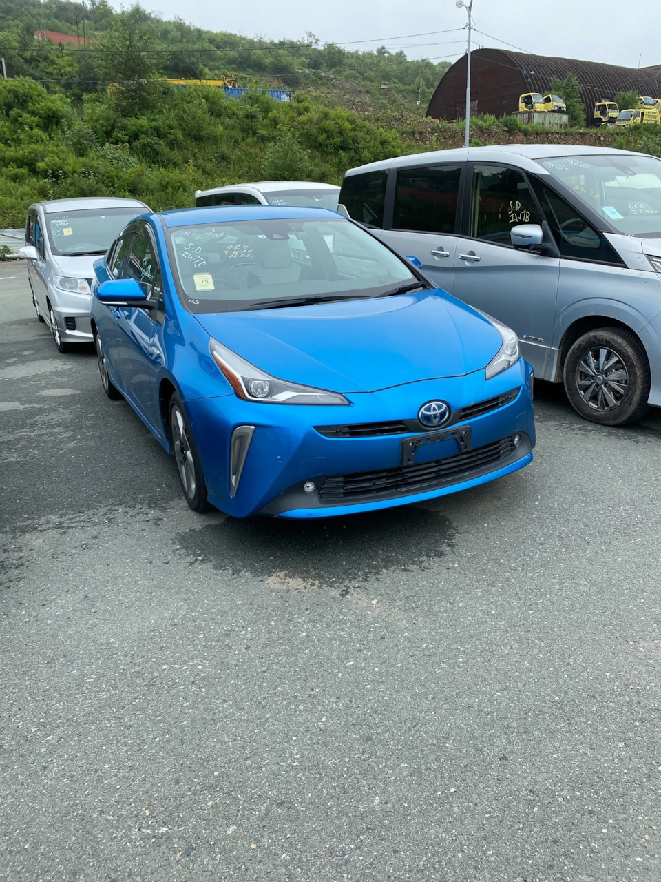 3. Перегон VVO > TSK — Toyota Prius (50), 1,8 л, 2019 года | путешествие |  DRIVE2