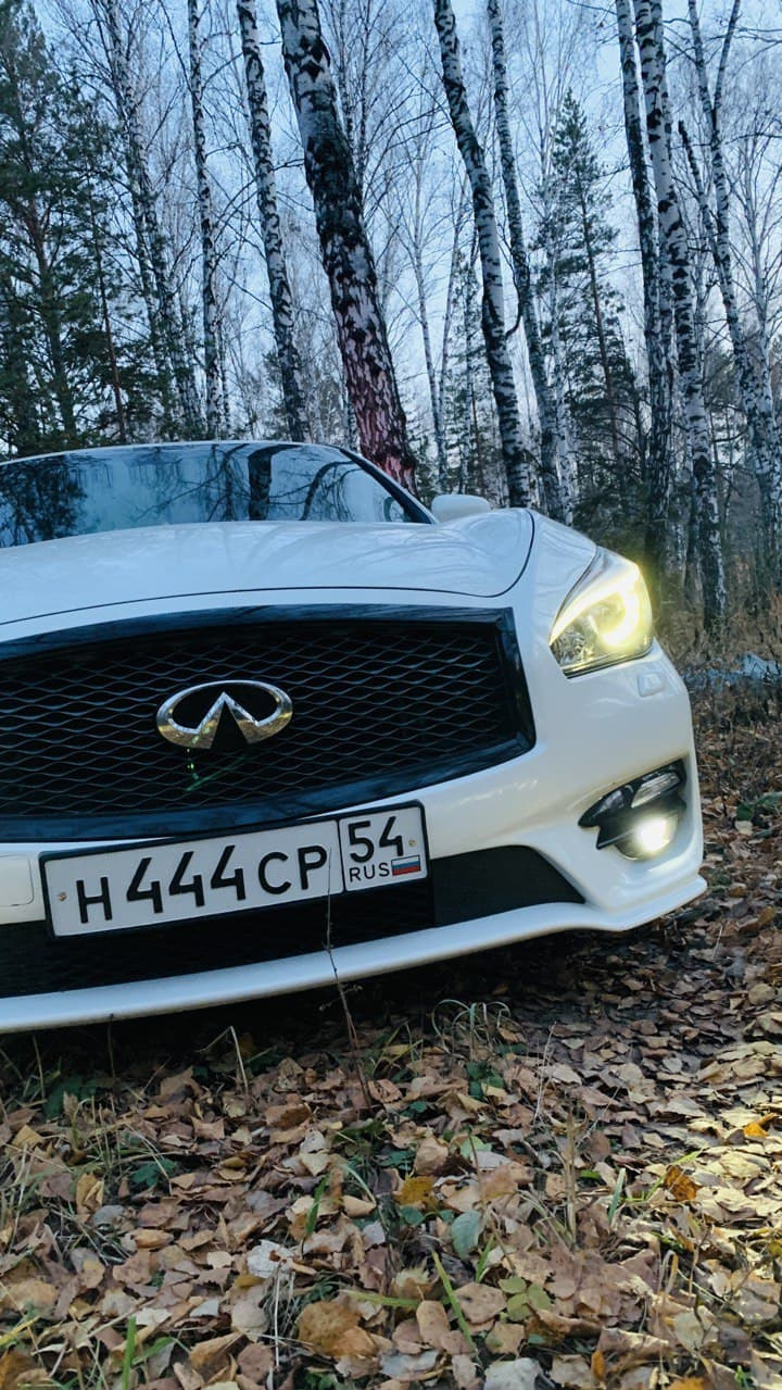 Начало истории часть 1. — Infiniti M (3G), 2,5 л, 2012 года | покупка машины  | DRIVE2