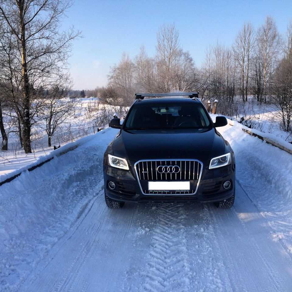 Немка 🇩🇪 VS Мексиканка 🇲🇽 — Audi Q5 (2G), 2 л, 2019 года | наблюдение |  DRIVE2