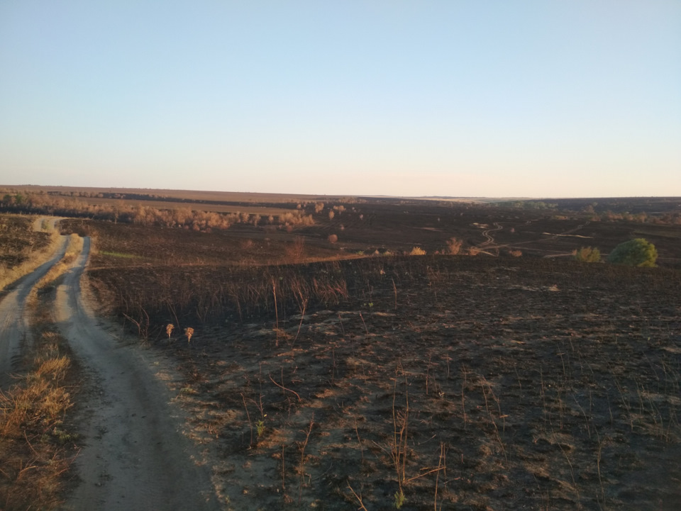 Покатушка по выжженной земле — DRIVE2