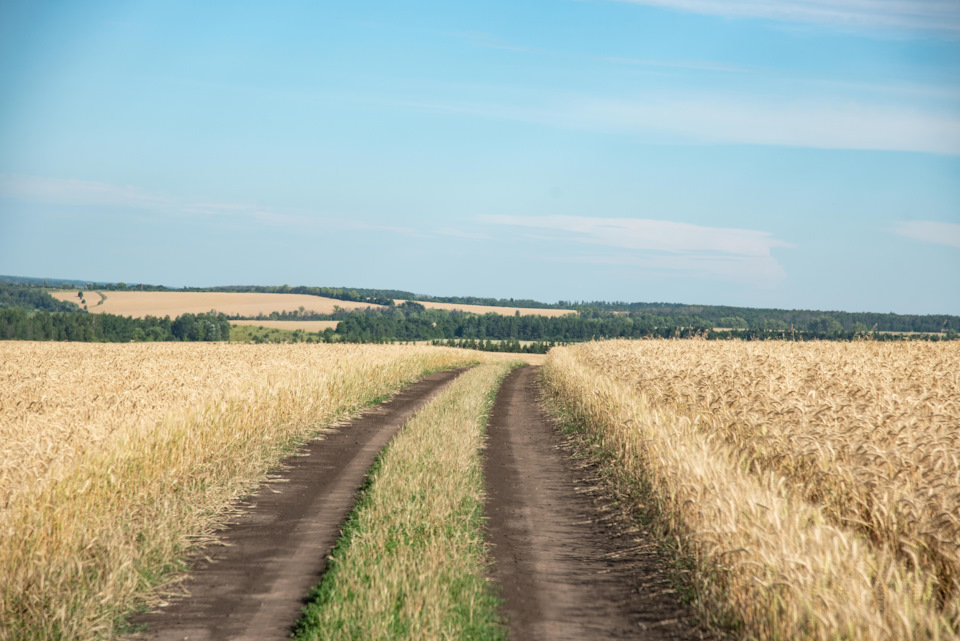 Фото в бортжурнале ГАЗ Соболь 4х4