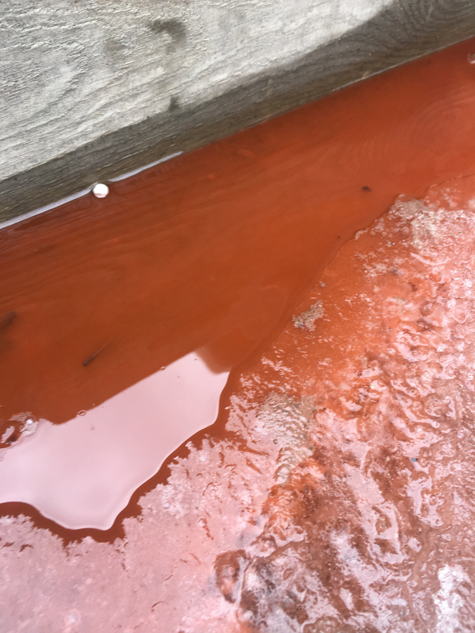 Музыка часть 1 — ГАЗ 31105, 2 л., 2012 года | автозвук | DRIVE2