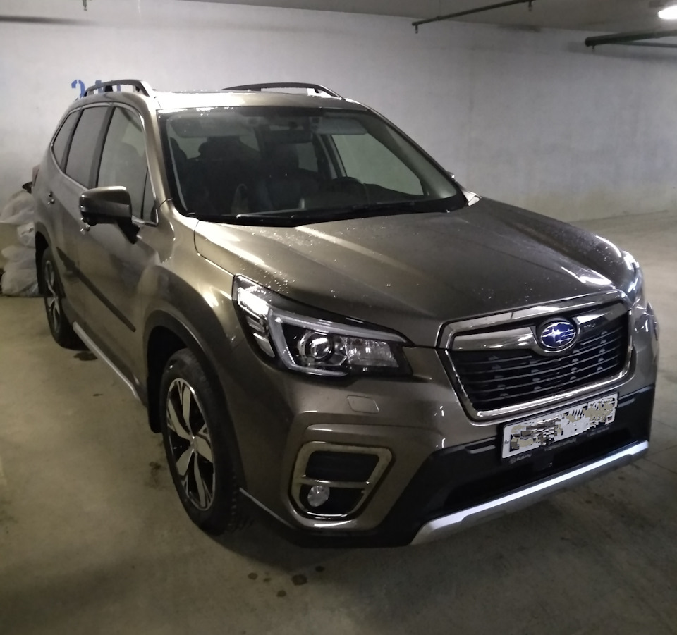 Forester sk5