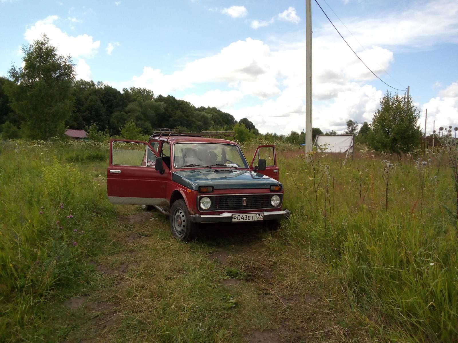 Поле-лес-цвяточки — Lada 4x4 3D, 1,7 л, 1997 года | фотография | DRIVE2