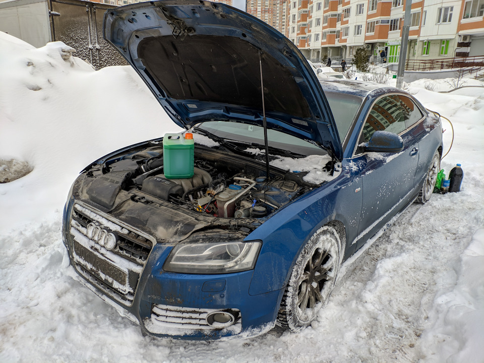 И залить масло. Масло как и в прошлый раз — Liqui Moly MolyGen 5W-30, купил в розлив. — Audi A5 (1G)