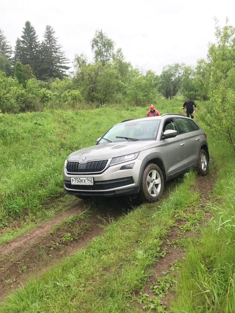 Позвали на рыбалку — Skoda Kodiaq, 1,4 л, 2020 года | путешествие | DRIVE2