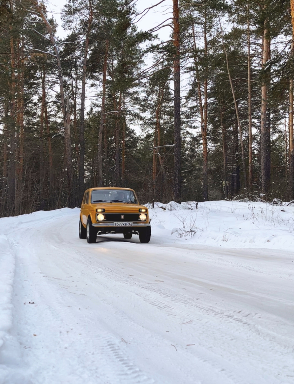 Нива и лес — Lada 4x4 3D, 1,6 л, 1984 года | фотография | DRIVE2