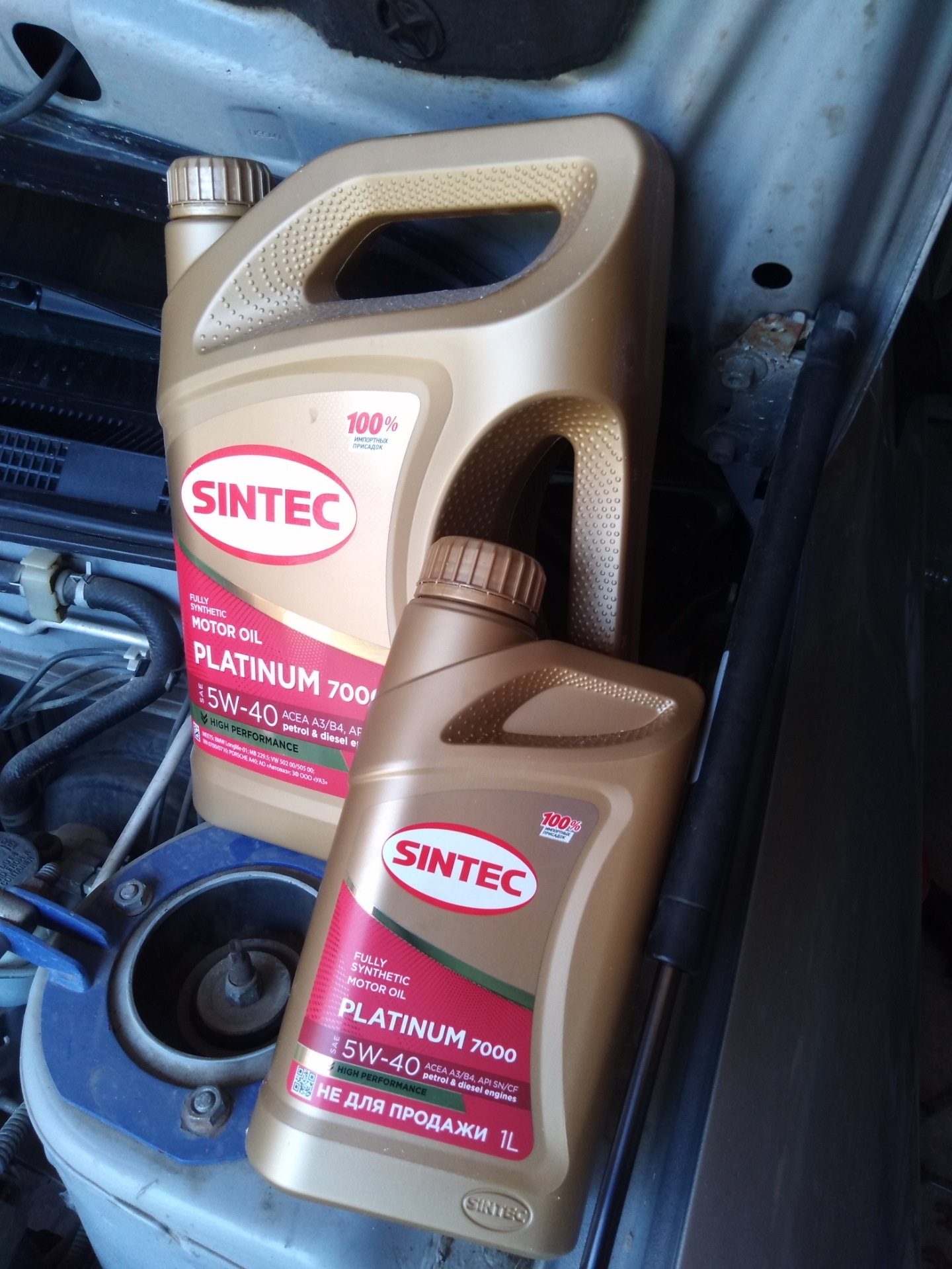 Sintec oil club масла