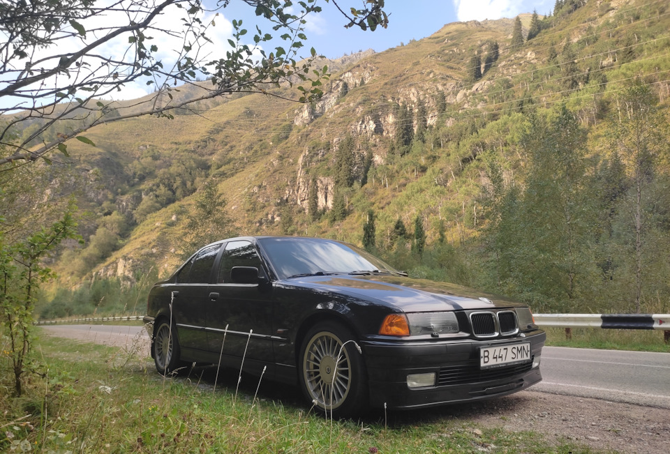 Фото в бортжурнале BMW 3 series (E36)