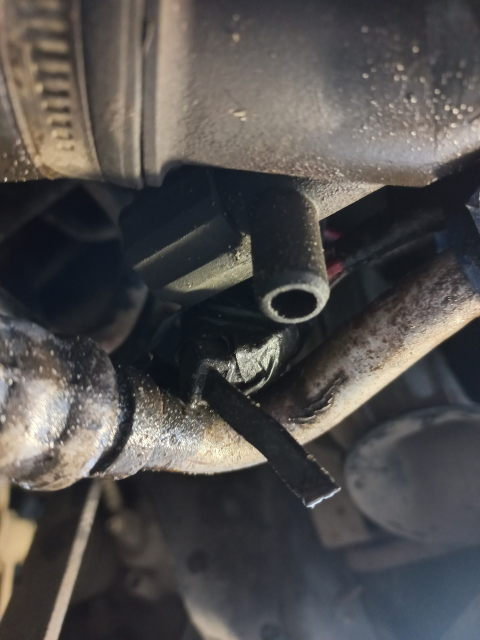 Фото в бортжурнале Volkswagen New Beetle