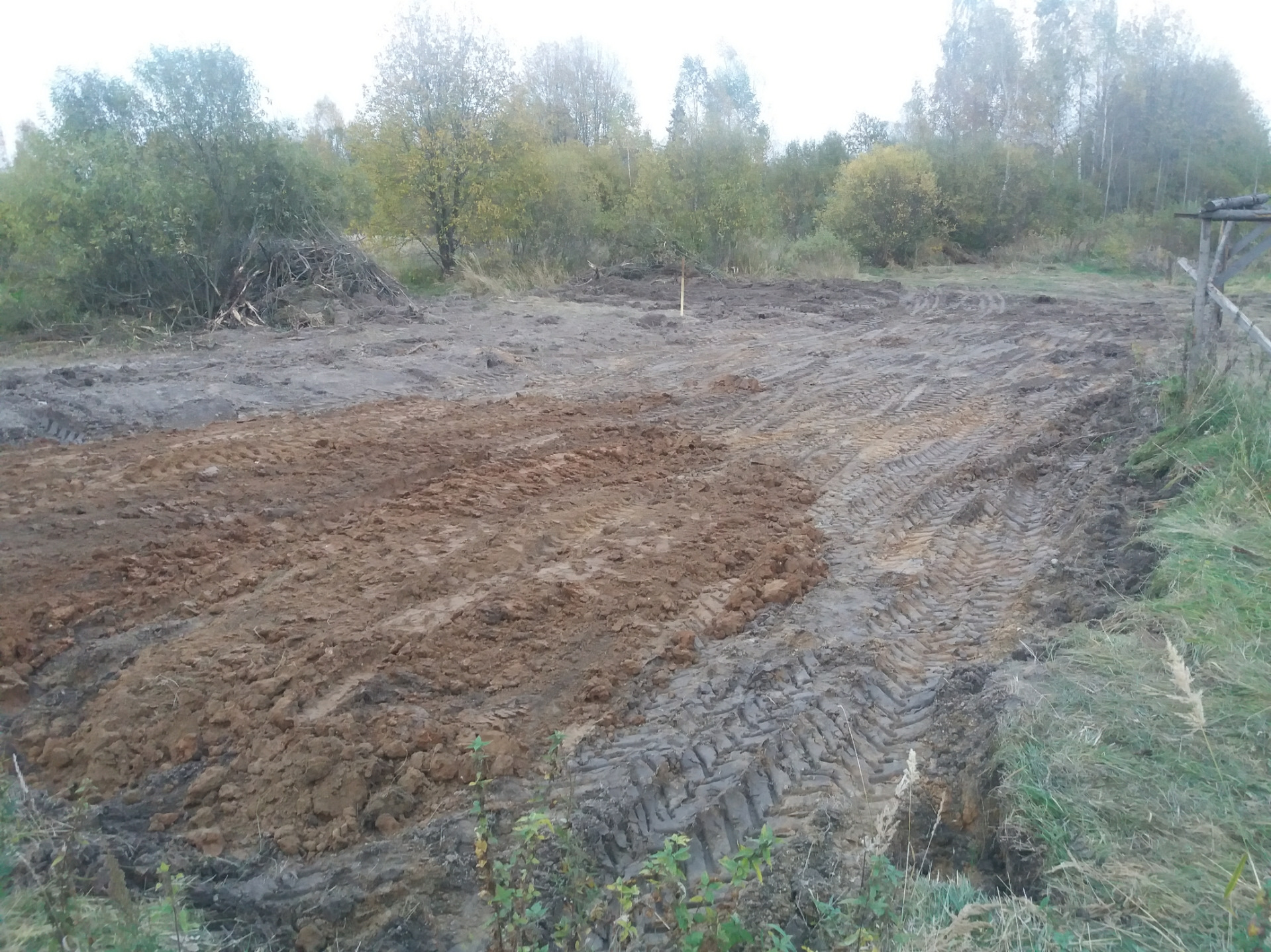 Вырытый в ходе изъятия грунта котлован заполнили водой и запустили туда карпов для воспроизводства