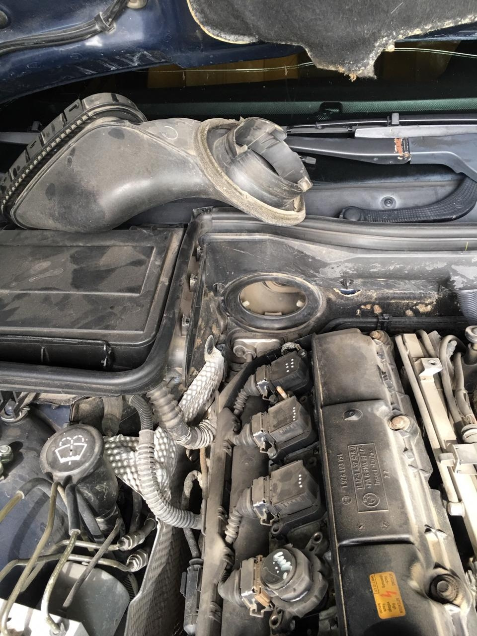 Раскоксовка — BMW 5 series (E39), 2,2 л., 2001 года | плановое ТО | DRIVE2