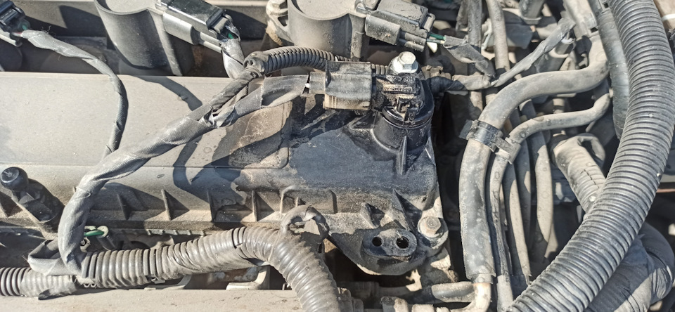 Фото в бортжурнале Ford Focus Hatchback II