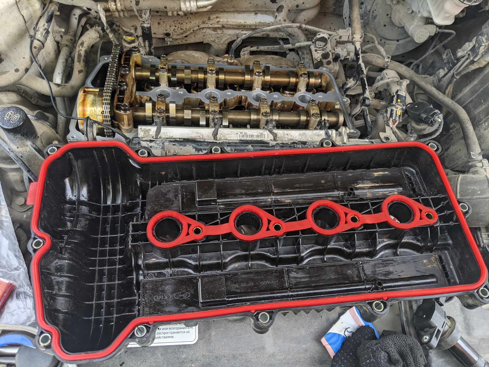 Замена прокладки клапанной крышки — Hyundai Solaris Hatchback, 1,6 л ...
