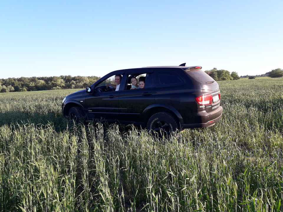 Возможная замена оригинального фильра в бачке ГУРа — Peugeot 607, 3 л ...