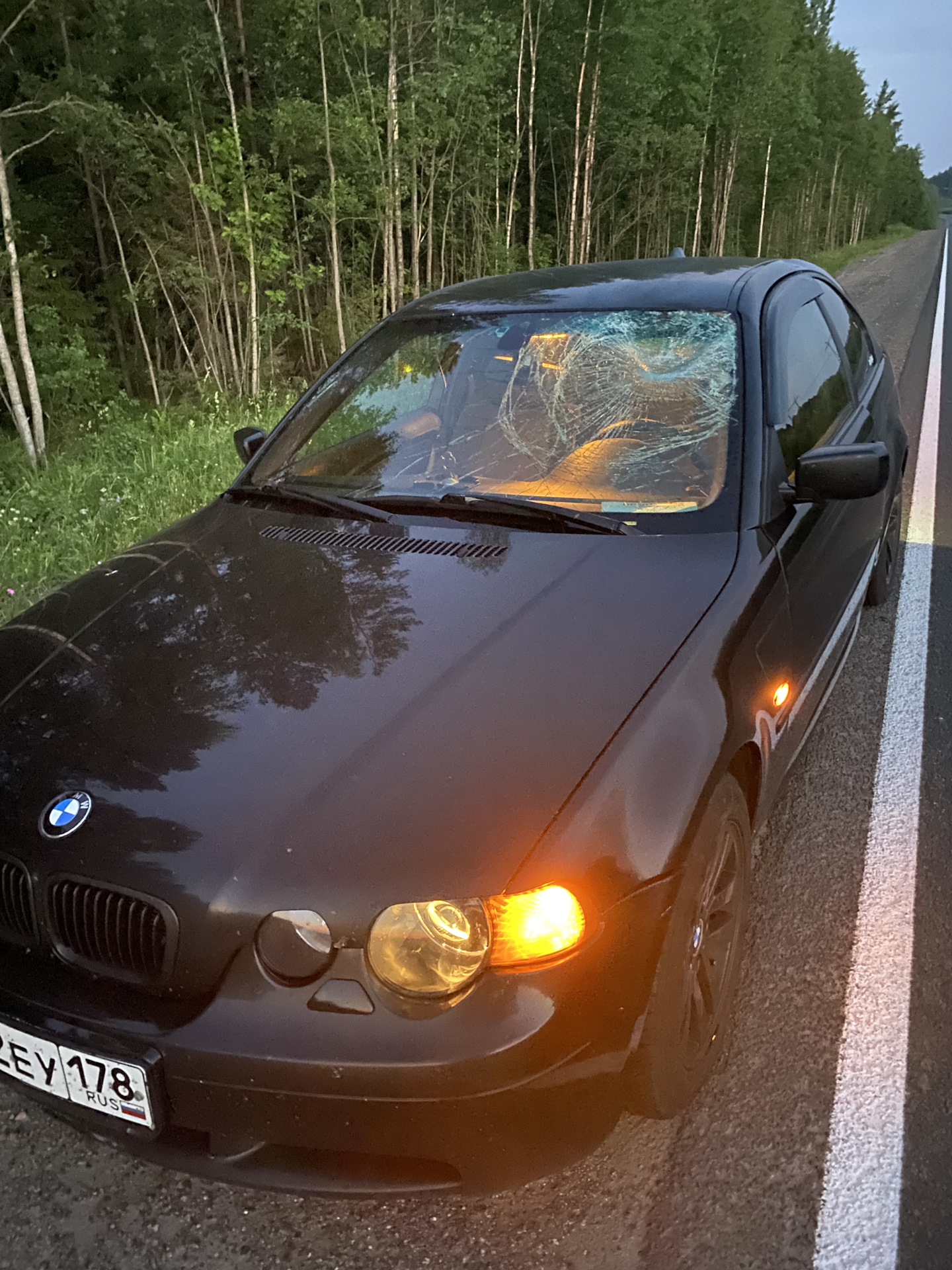 Лось СКА — BMW 3 series (E46/5), 1,8 л, 2002 года | ДТП | DRIVE2