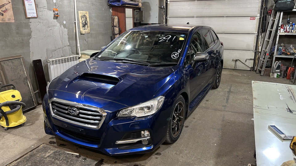 Subaru Levorg (1G) 1.6 бензиновый 2014 | Банка "Ред Булла". на DRIVE2