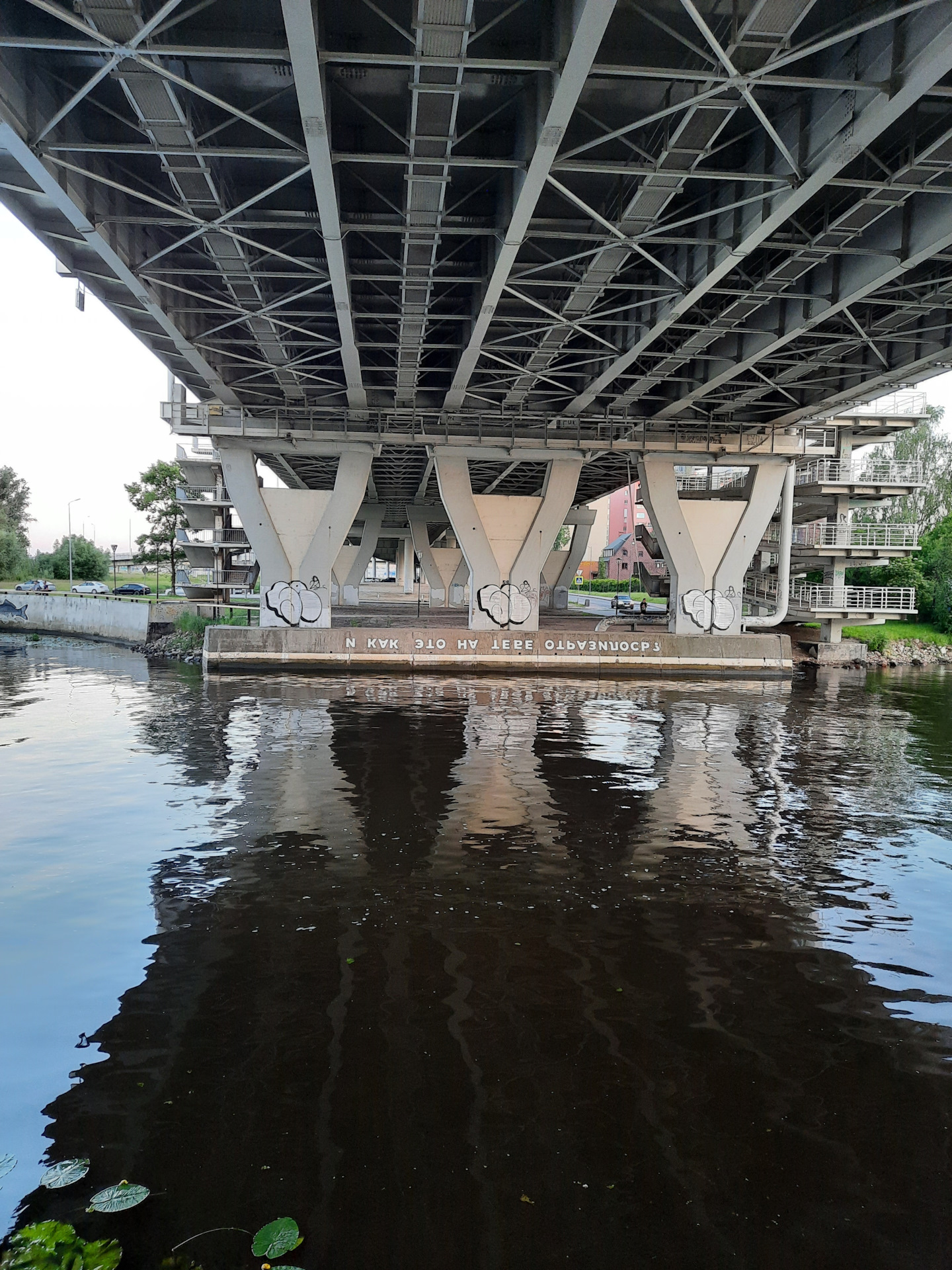 ялтинский парк в калининграде