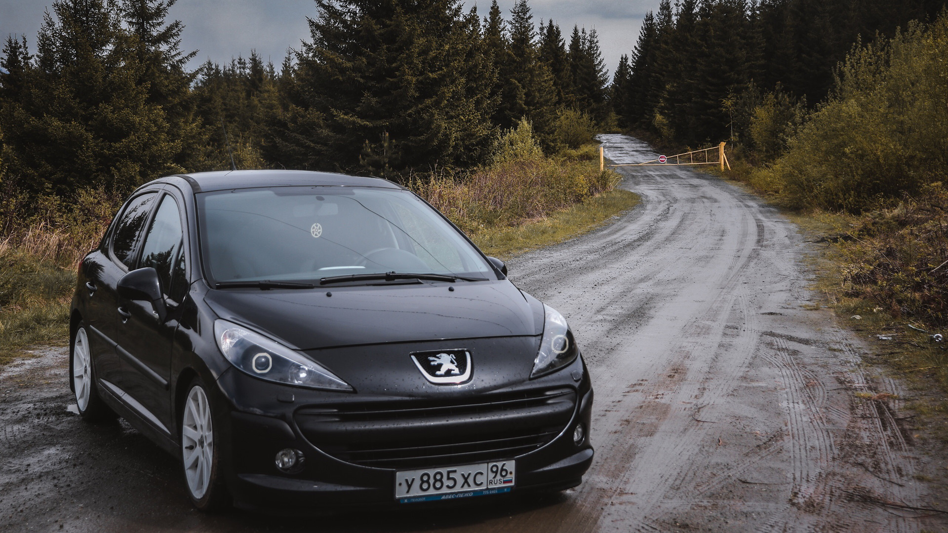 p1795 peugeot 207